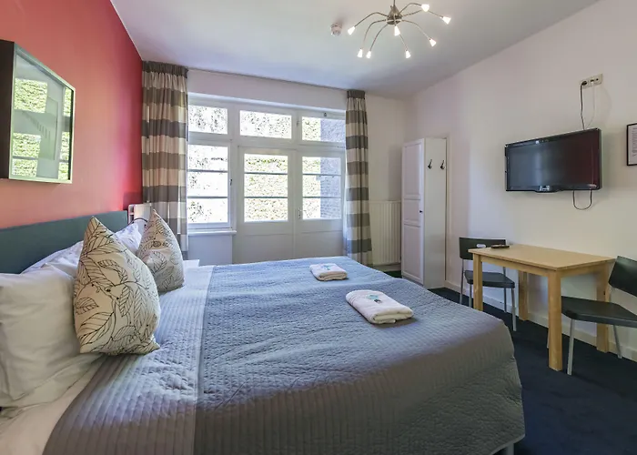 Bed and breakfast De Hofnar 3*