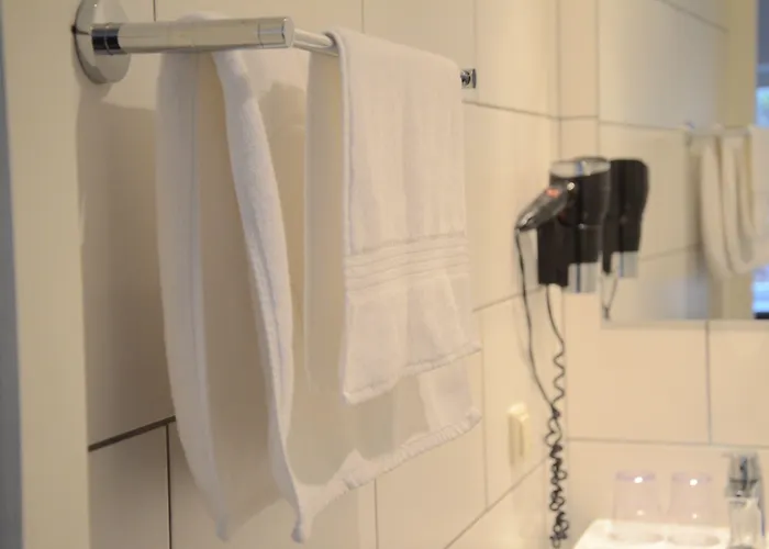 Bed and breakfast De Hofnar 3*