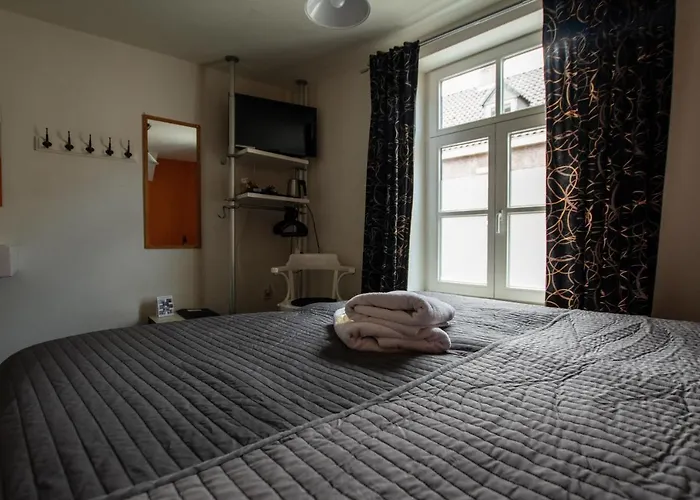 Bed and breakfast De Hofnar 3*