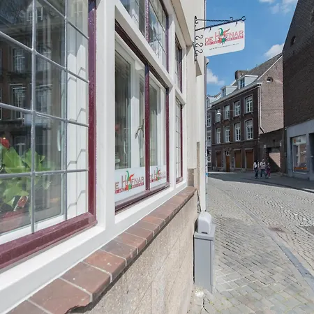 De Hofnar Maastricht