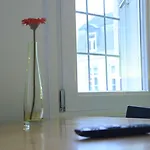 De Hofnar