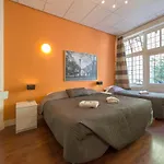 De Hofnar 3*