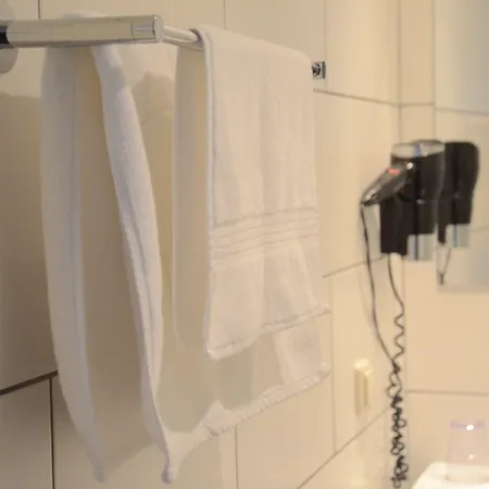 Bed and Breakfast De Hofnar 3*
